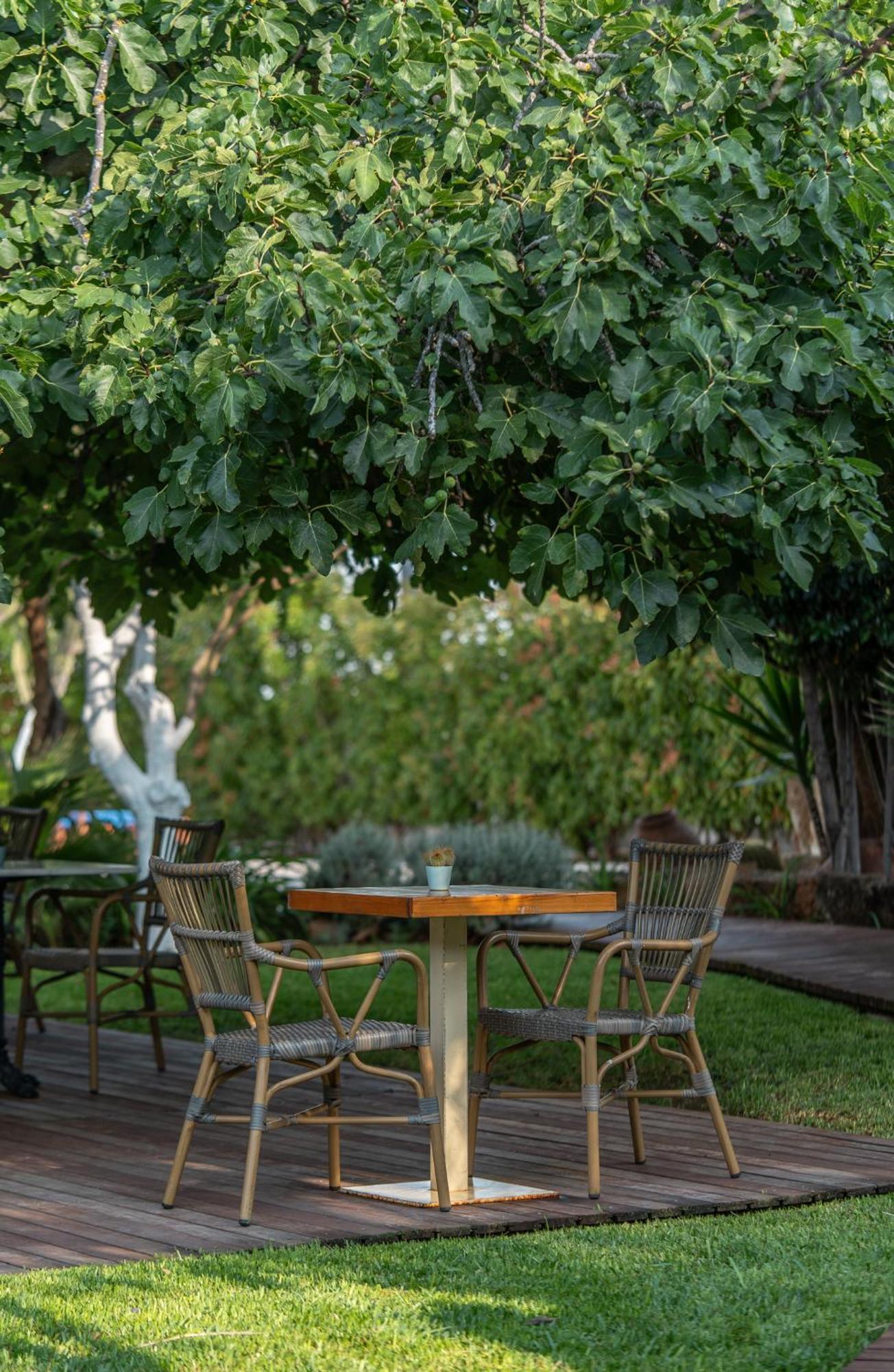 Boho Suites Denia (Adults Only) מראה חיצוני תמונה